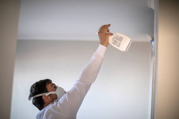 Best Local Mold Removal Service  in Moose Lake, MN