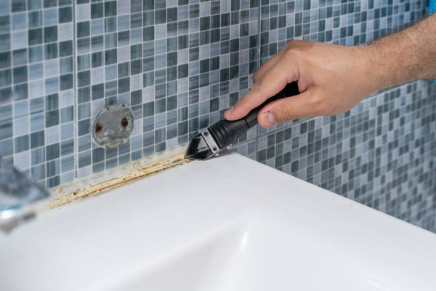 Mold Testing and Removal in Moose Lake, MN