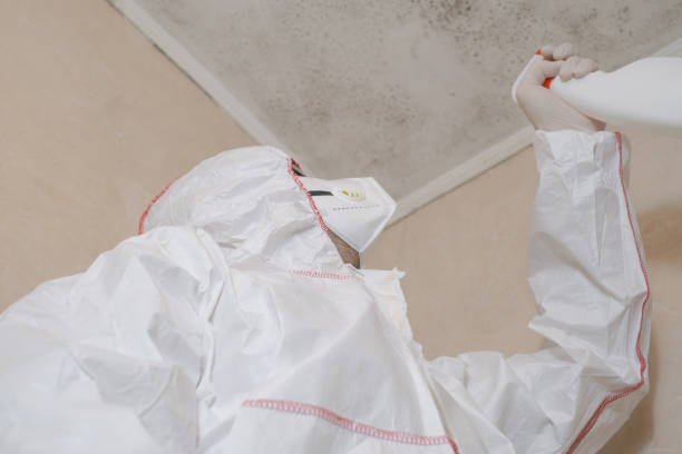 Best Mold Cleaning Services  in Moose Lake, MN